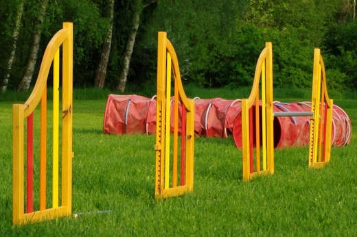 Překážka skoková jednoduchá