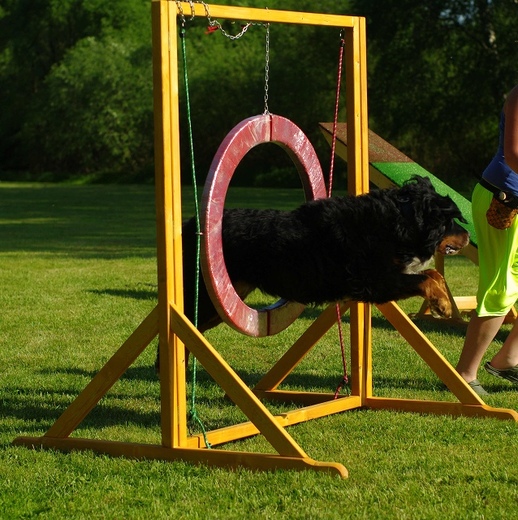 Proskokový kruh dělený