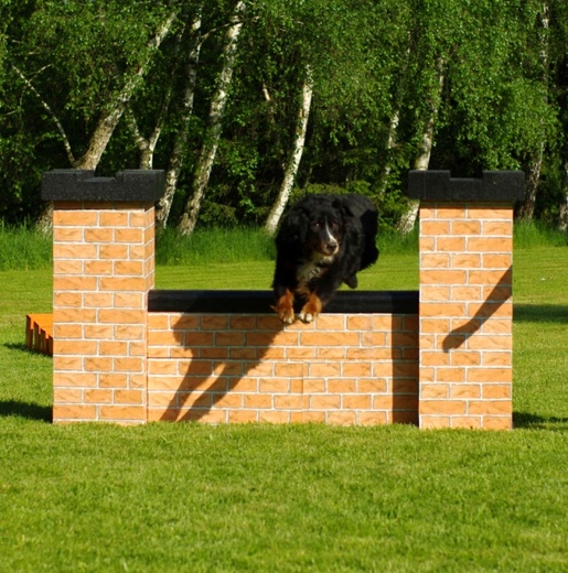 Zeď - skoková překážka