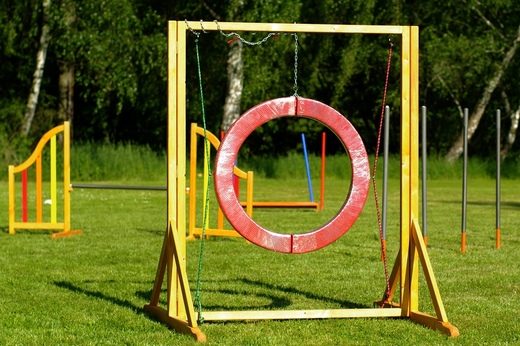 Proskokový kruh dělený